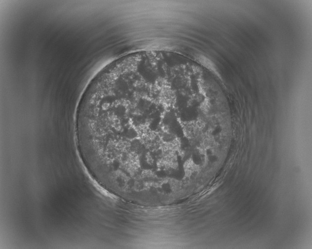 X0000063441087200602171823