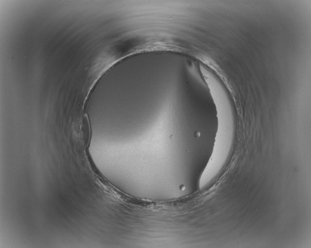 X0000063441089200602171823
