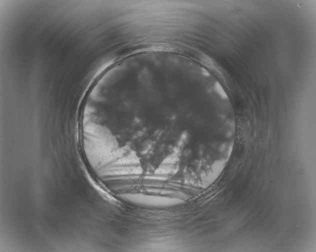 X0000063441095200602171823