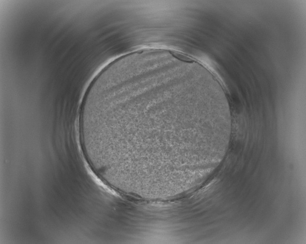 X0000063441100200602171823