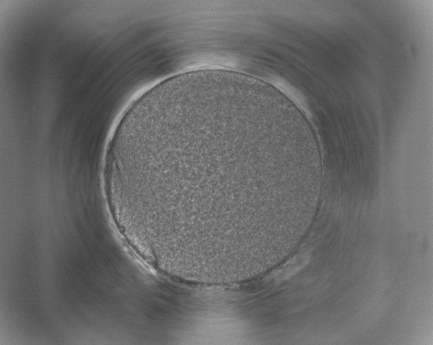 X0000063441104200602171823