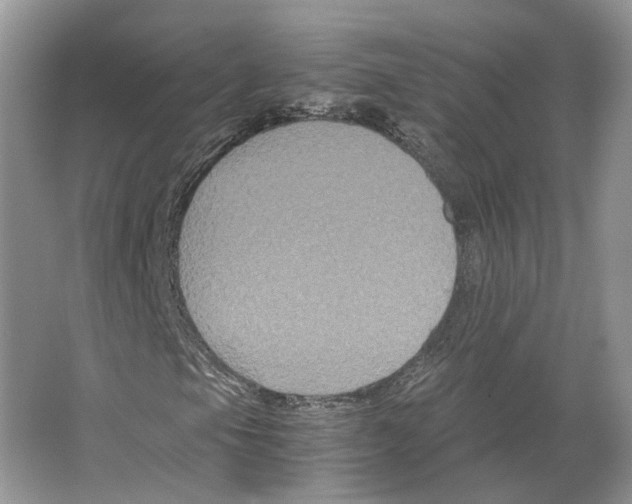 X0000063441105200602171822