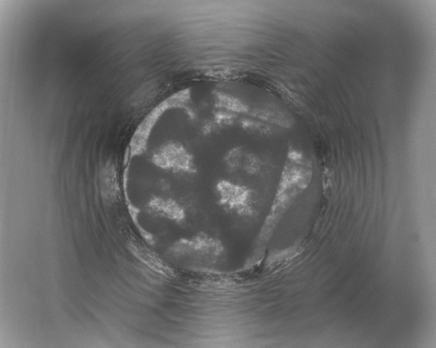 X0000063441106200602171822
