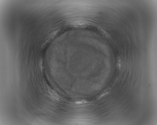X0000063441108200602171822