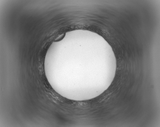 X0000063441109200602171822