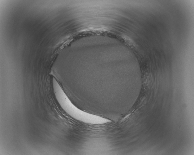 X0000063441110200602171822