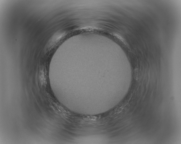 X0000063441111200602171822