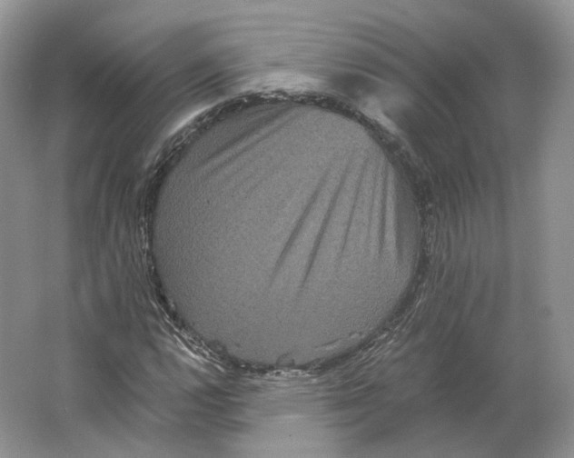 X0000063441112200602171822