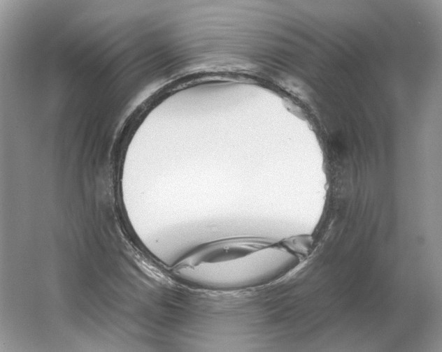 X0000063441114200602171822