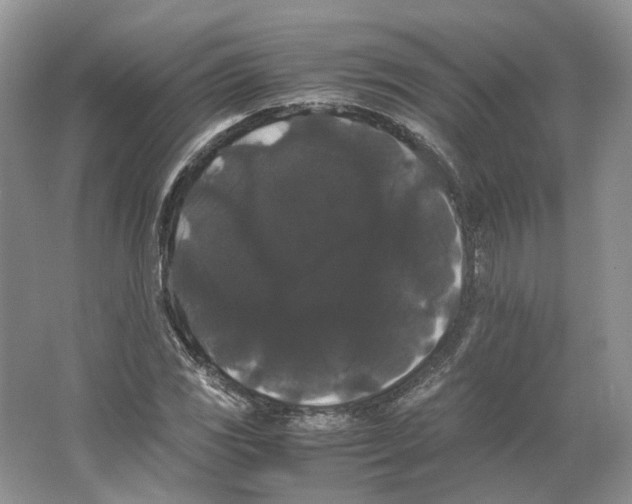 X0000063441117200602171822
