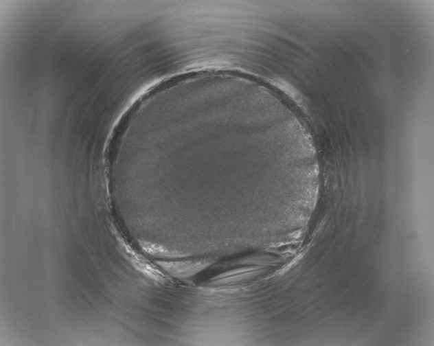 X0000063441118200602171822