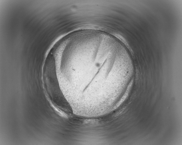 X0000063441128200602171823