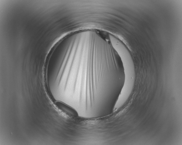 X0000063441134200602171823