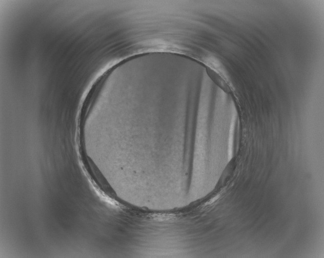 X0000063441136200602171823