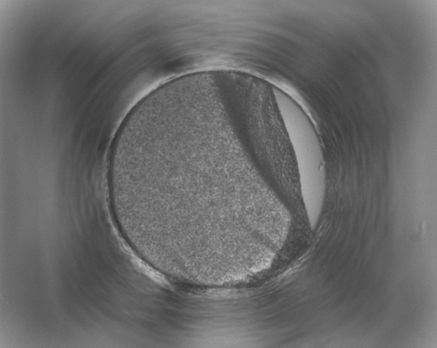 X0000063441142200602171823