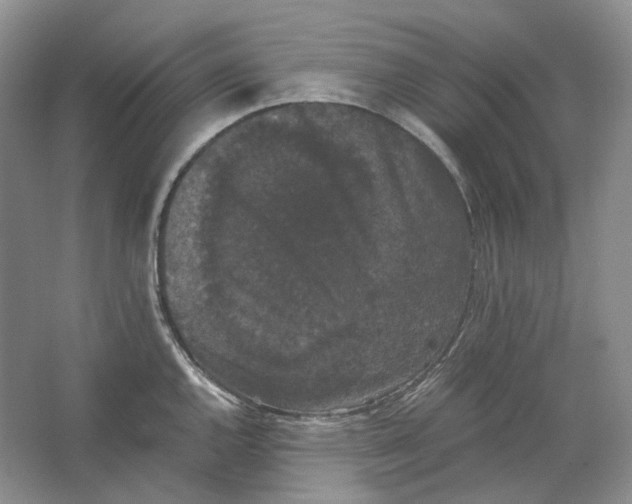 X0000063441144200602171823