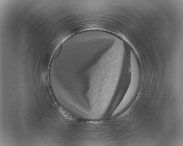 X0000063441145200602171823