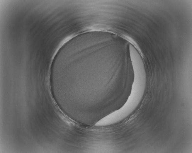 X0000063441146200602171823