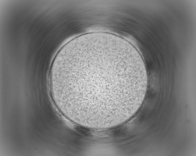 X0000063441150200602171823