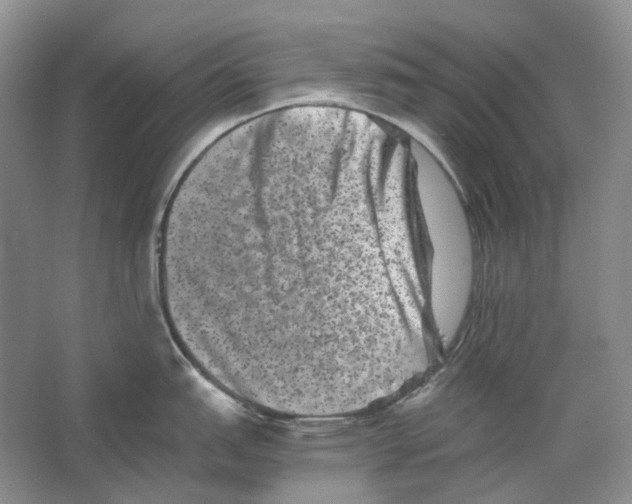 X0000063441151200602171823
