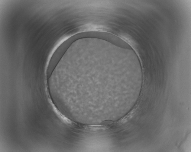 X0000063441152200602171823
