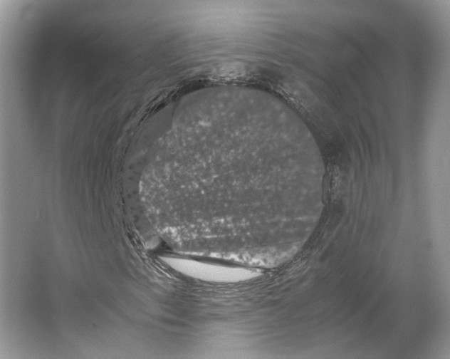 X0000063441153200602171822