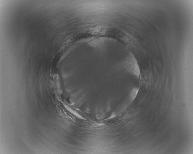 X0000063441154200602171822