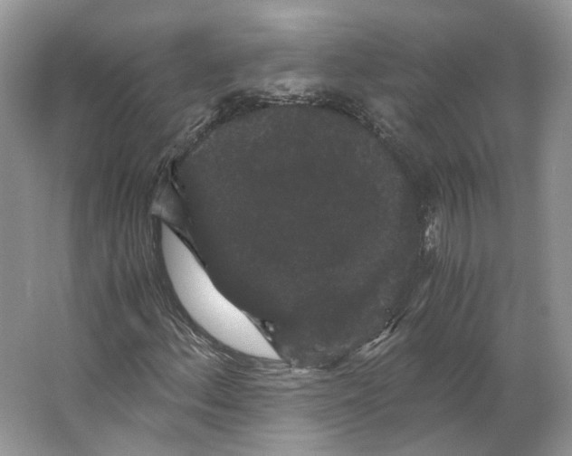 X0000063441156200602171822