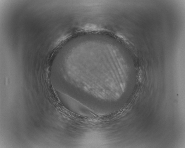 X0000063441157200602171822
