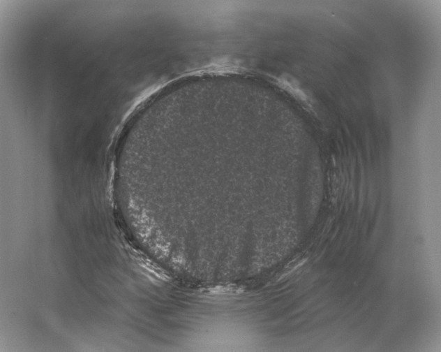 X0000063441160200602171822
