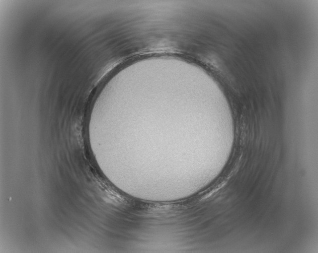X0000063441162200602171822