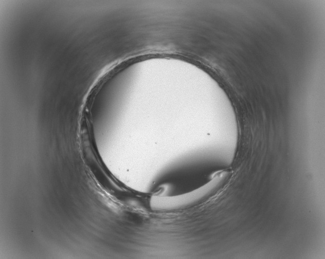 X0000063441168200602171822
