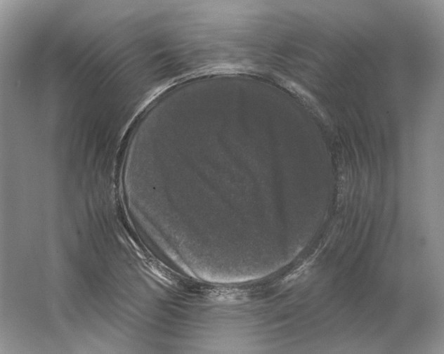 X0000063441170200602171822