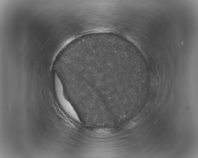 X0000063441171200602171822