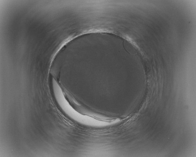 X0000063441173200602171822