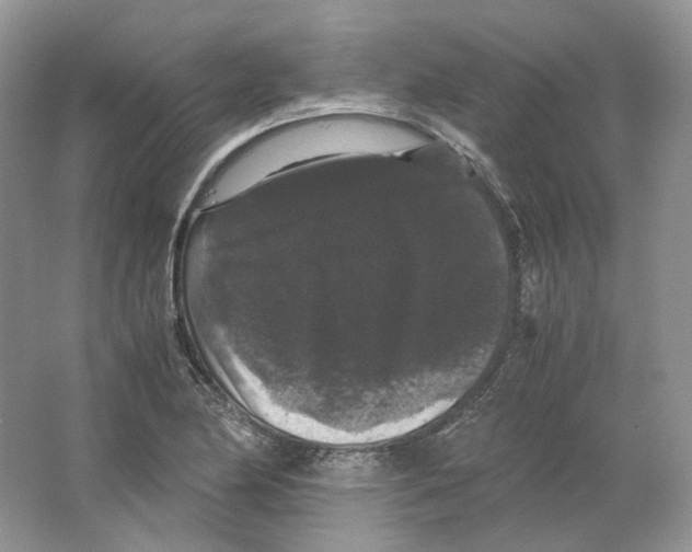 X0000063441174200602171822
