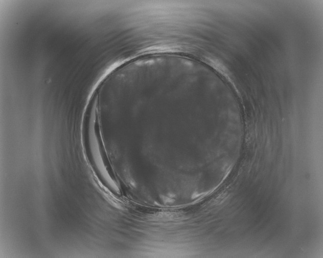 X0000063441179200602171822