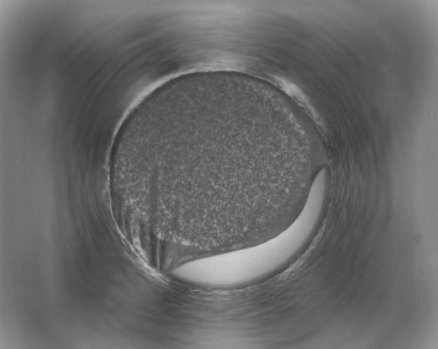 X0000063441184200602171822