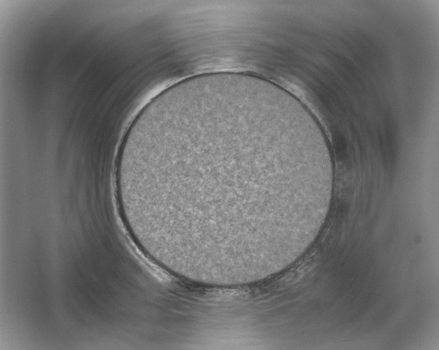 X0000063441187200602171822