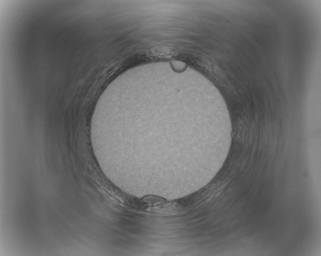 X0000063441201200602171821