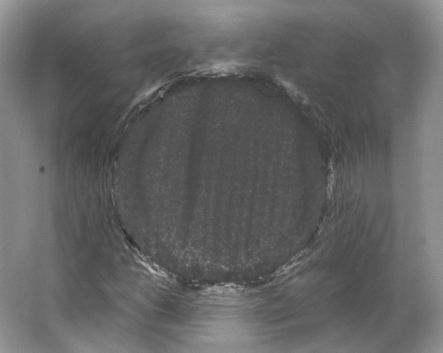 X0000063441206200602171821