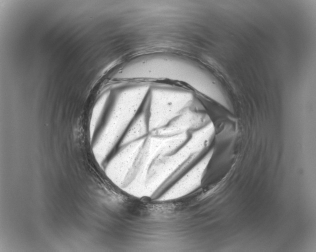 X0000063441210200602171821