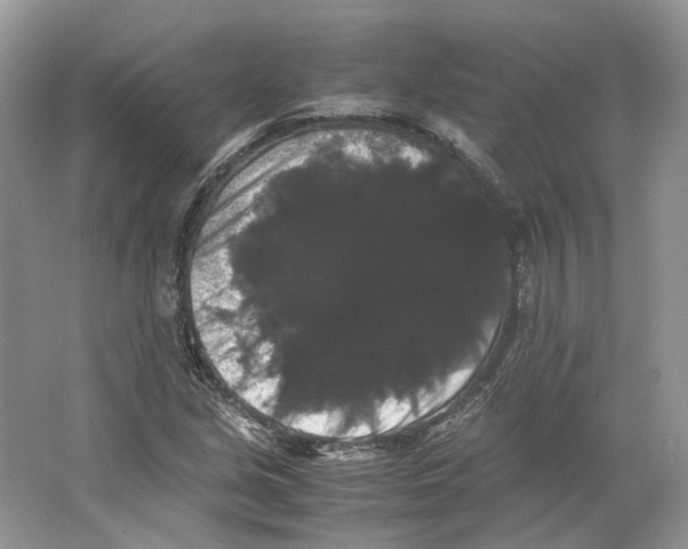 X0000063441213200602171821