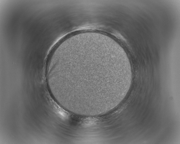 X0000063441216200602171821