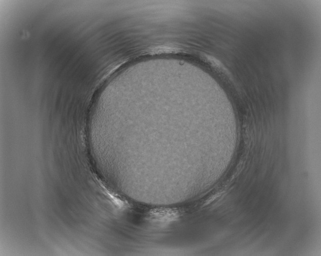 X0000063441217200602171821