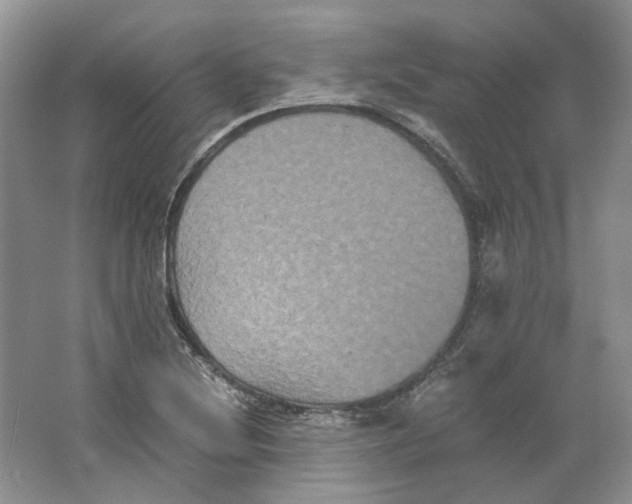 X0000063441220200602171821