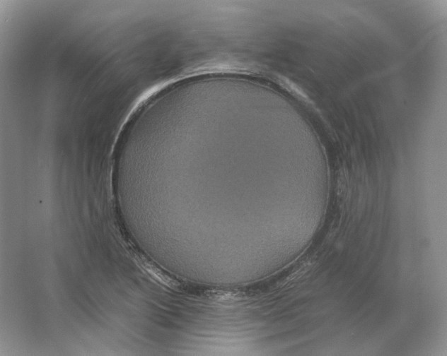 X0000063441222200602171821