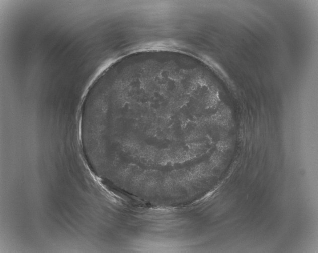 X0000063441224200602171821