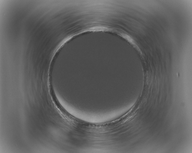 X0000063441229200602171821