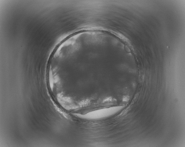X0000063441231200602171821